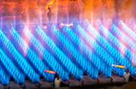 Wylde gas fired boilers