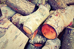 Wylde wood burning boiler costs